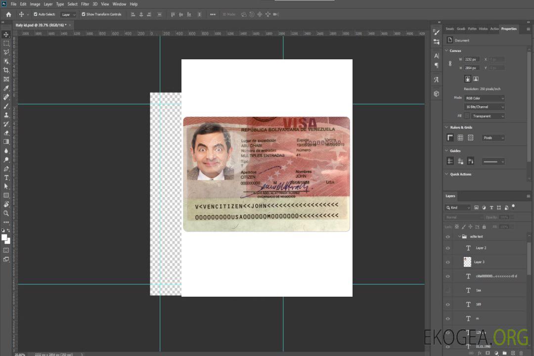 Visa VENEZUELA template Visa VENEZUELA template